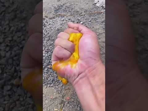 अंकल ने मगरमच्छ के अंडे को फोड़ दिया🥚#shorts #trendingshorts #eggs