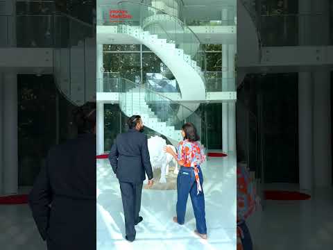 Imagine living in a house made of glass? | The Crystal House