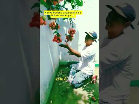 berlaku pada tumbuhan saja bukan hewan ya !! ?