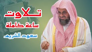 تلاوة ساعة كاملة بأجمل التلاوات سعود الشريم