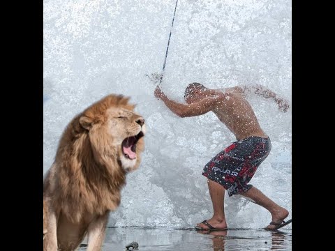 كيف تتصرف اذا هاجمك اسد ؟