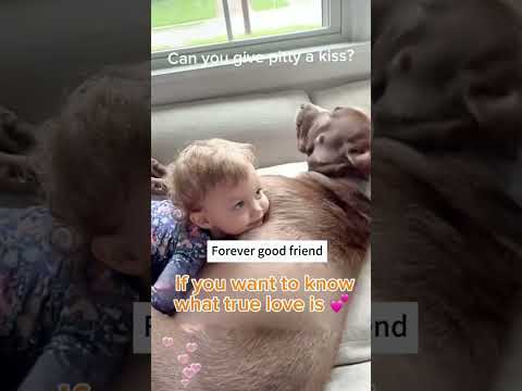 Funny stories about babies and dog 🥰