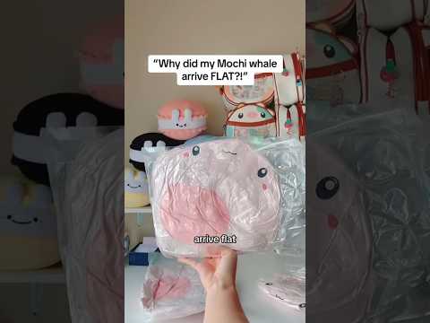 Why did Mochi whale arrive FLAT?! 😭🐳 #plush #kawaii