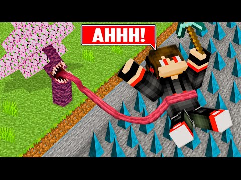 I Built Most Illegal Traps In Minecraft !