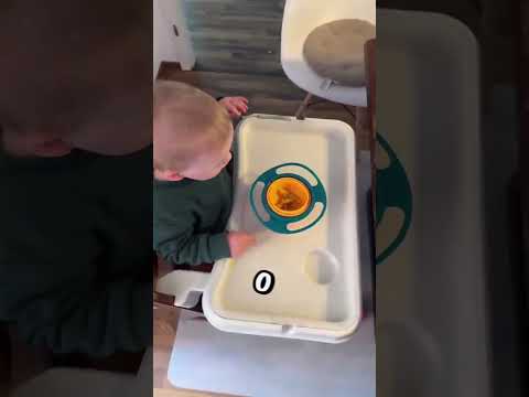 Este pequeno fez todo mundo concordar😮