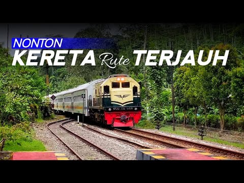 NUNGGUIN KERETA TERJAUH LEWAT‼️KA Blambangan Ekspres x KA Sritanjung