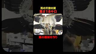 死の天使の翼、その重さは18キロ