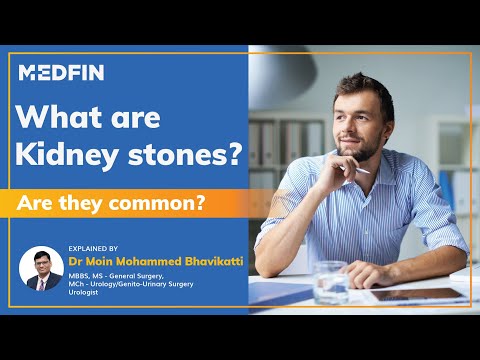 What are Kidney stones | Are they common? | Kidney stones causes