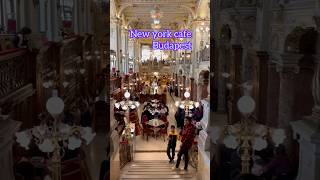 New York Café Budapest ✨The most beautiful cafe in the world #shortviral #budapest