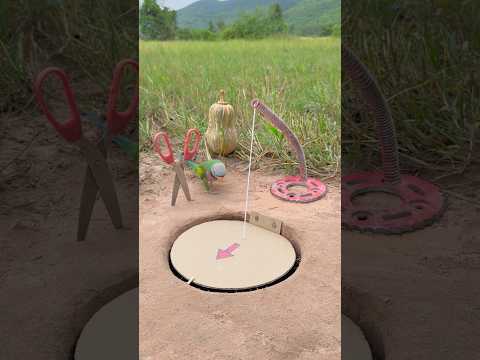 innovative beautiful parrot trap #shorts