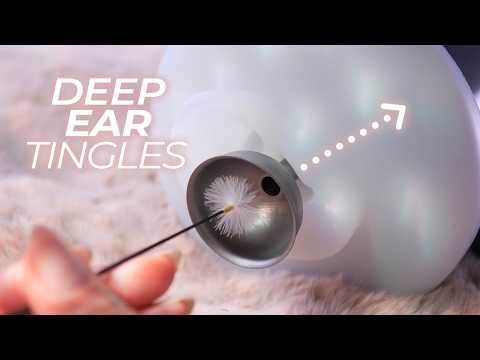 ASMR Extreme Deep Ear Canal Tingles | 3D Ear Canal + Eardrum Brain Penetrating Cleaning (No Talking)