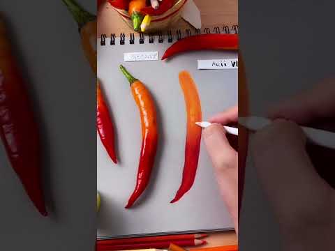 เรามาวาดรูปพริกกัน🌶️🌶️🌶️🌶️