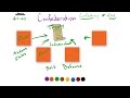 Understanding Confederations and Sovereignty