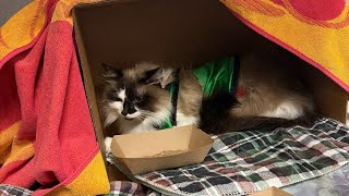 SKYE WAS HOSPITALIZED ￼