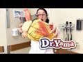 Understanding Heart Structure and Function
