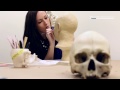Facial Reconstruction Techniques and Skills