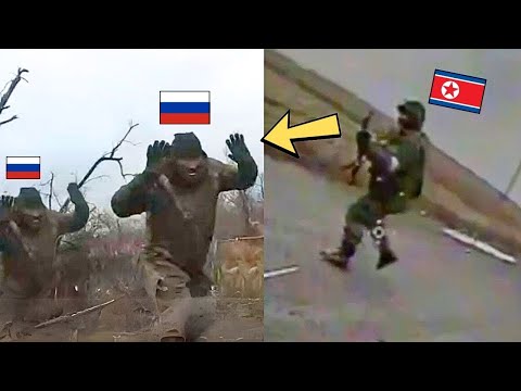 North Korean Soldiers Brutally Attacked and Killed Russians!