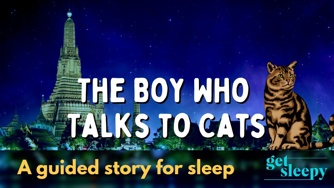 Bedtime Story for a Peaceful Sleep The Boy Who Talks to Cats