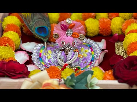 Janmastami Celebration 🎉 | Thakur ji ka Shringar🧿 |ladoo gopal | Naye ghar me pahla Celebration 🥳