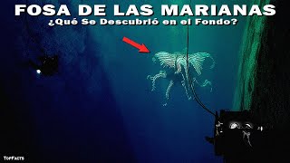 Lo Que Un Dron Submarino Encontró en el Lugar Más Profundo de la Tierra