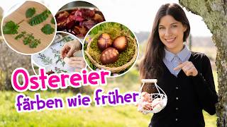 Ostereier färben wie früher - mit Zwiebelschalen & Wildkräutern (so einfach!) 🌿🐣