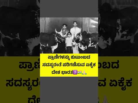 #karnataka #kannada #kannadashorts