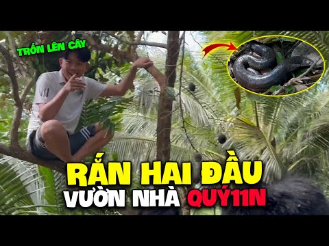 [Vlog] LBG Mém Xỉu Khi Phát Hiện “ Rắn 2 Đầu “ Trong Khu Vừng Của Quý11N