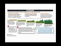 Ecological Succession and Keystone Species