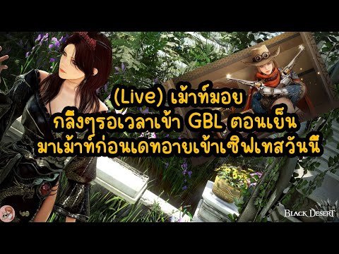 🔥Liveเม้าท์มอยกลิ้งๆรอเวลาเข้าGBLตอนเย็นมาเม้าท์ก่อนเดทอายเข