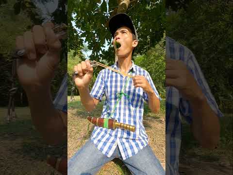 #entertainment #birdsounds #shorts