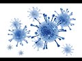 Infectious Diseases and Prevention Strategies