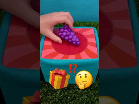 What's in the Mystery Box?! 🤔🎁