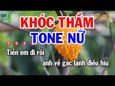 Karaoke Khóc Thầm Tone Nữ ( D#m ) Nhạc Sống Mới | Karaoke Tuấn Kiệt