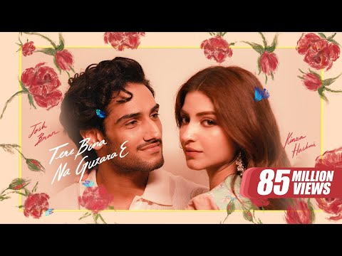 JOSH BRAR : Tere Bina Na Guzara E | Feat. Kinza Hashmi | Bunty Bains | Latest Punjabi Song 2024