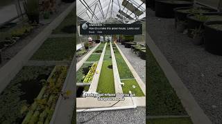 How did I build my greenhouse?