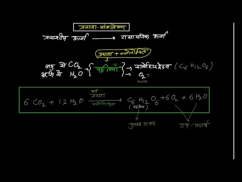 प्रकाश संश्लेषण क्या होता है? What is Photosynthesis ? Most Important Topics