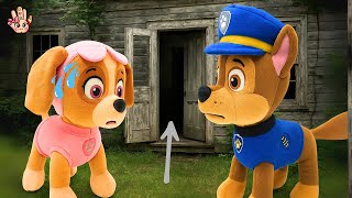 😱 ¿QUÉ HAY detrás de la PUERTA MISTERIOSA? La Patrulla Canina en español