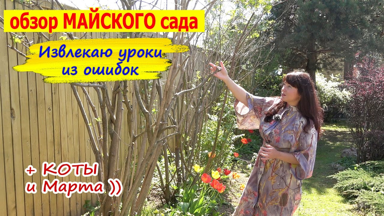 Большой обзор МАЙСКОГО САДА. Ошибки с тюльпанами и бегонией. Турецкий перец. Коты и Марта