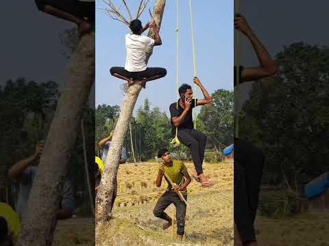 গাছের নিচে দোলনা