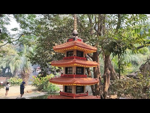 lugar maravilhoso passeio ( jardim japonês) 🍂🍁🍃🌿