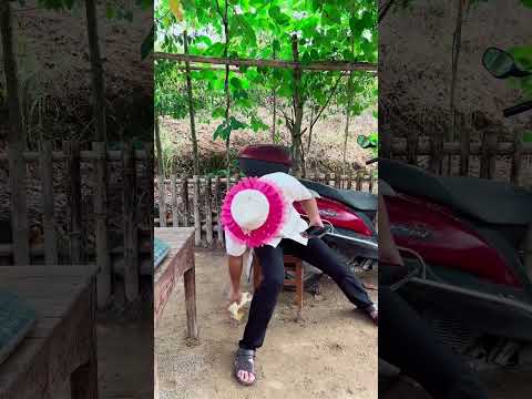 The piglet's coming in and out caused the owner to suffer heavy losses, but he won a good reputa