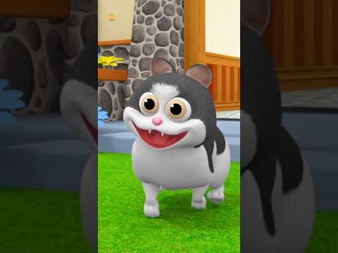 म्याऊं म्याऊं बिल्ली करती Cat Song, Hindi Rhymes  #shortvideo #babysongs #superkidsnetwork #funvideo