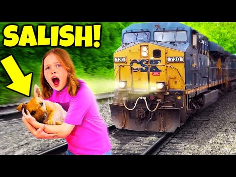 6 YouTubers Who SAVED ANIMALS LIVES! (Salish Matter, Jordan Matter, Royalty Family)