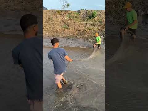 Secamos o lago das trairas e fizemos a pescaria. Part 1 #vidanaroça #pescaria #peixe #traira #pesca