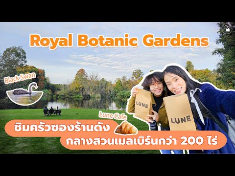 RoyalBotanicGardensMelbournelปิกนิกในสวน200ไร่กลางเมืองเมลเบ