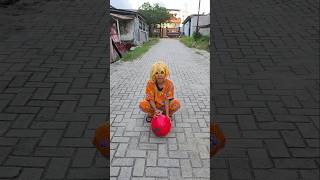 Balon Busa Seru Banget 😱🎈