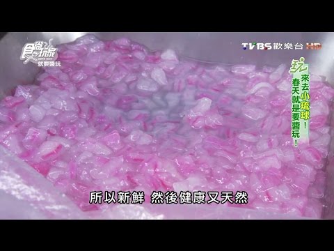 【小琉球】阿婆粉圓 手工製作 食尚玩家 20160225