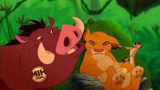 Ernie Sabella on "The Lion King"