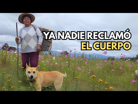 "Nadie reclamó el cuerpo del joven 😔"