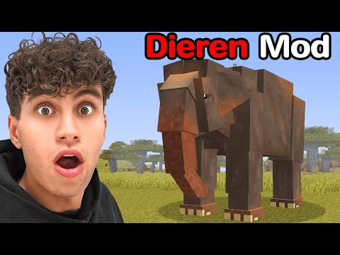 Valsspelen Met Dierentuin Mod In Een Bouwwedstrijd